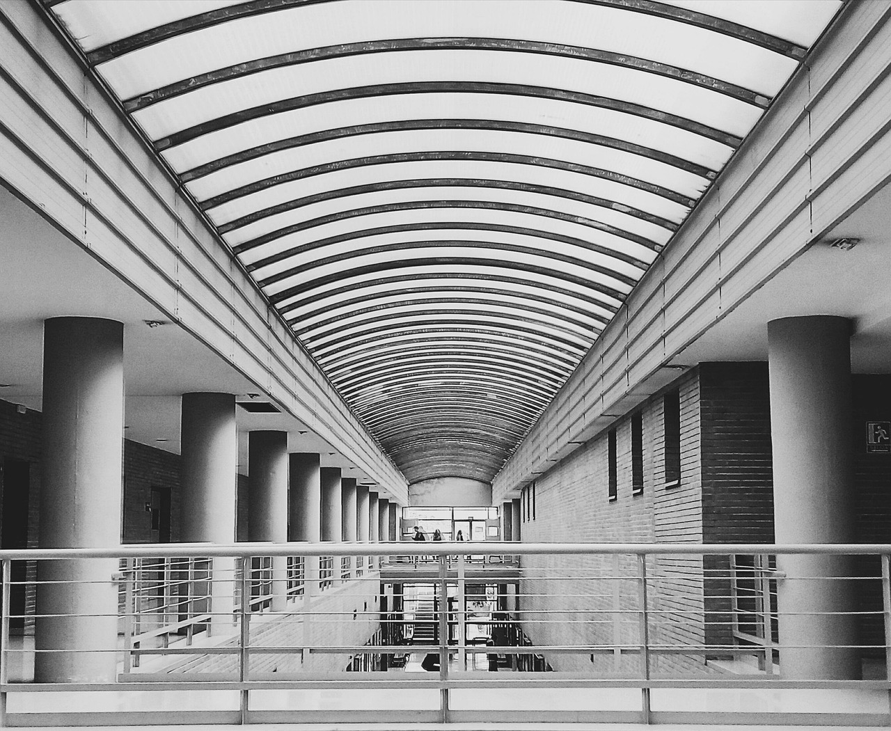 郑州轻工业大学最厉害的专业-2024郑州轻工业大学最好专业