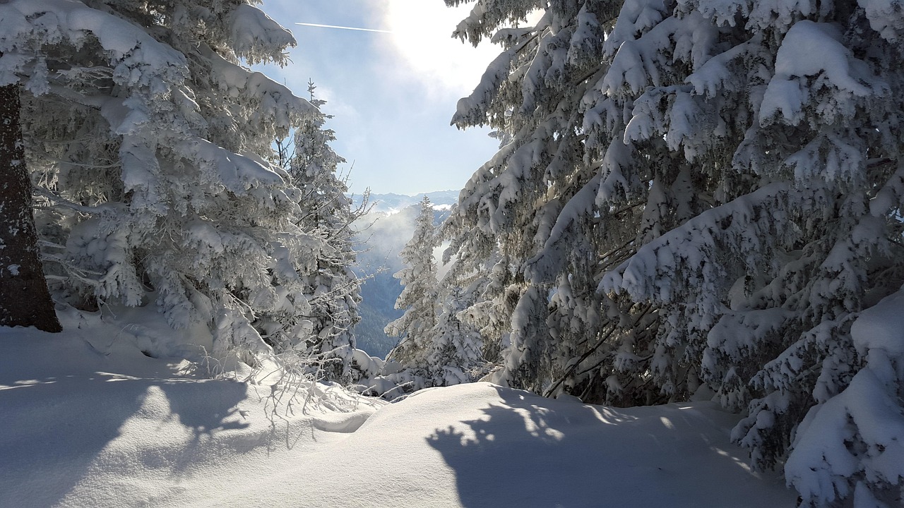 兰州十大最适合看雪的地方 兰州十大最适合看雪的地方