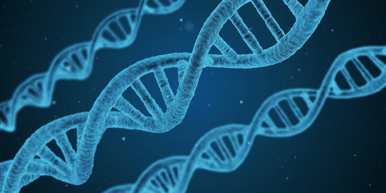 2025年郑州工程技术学院招生章程