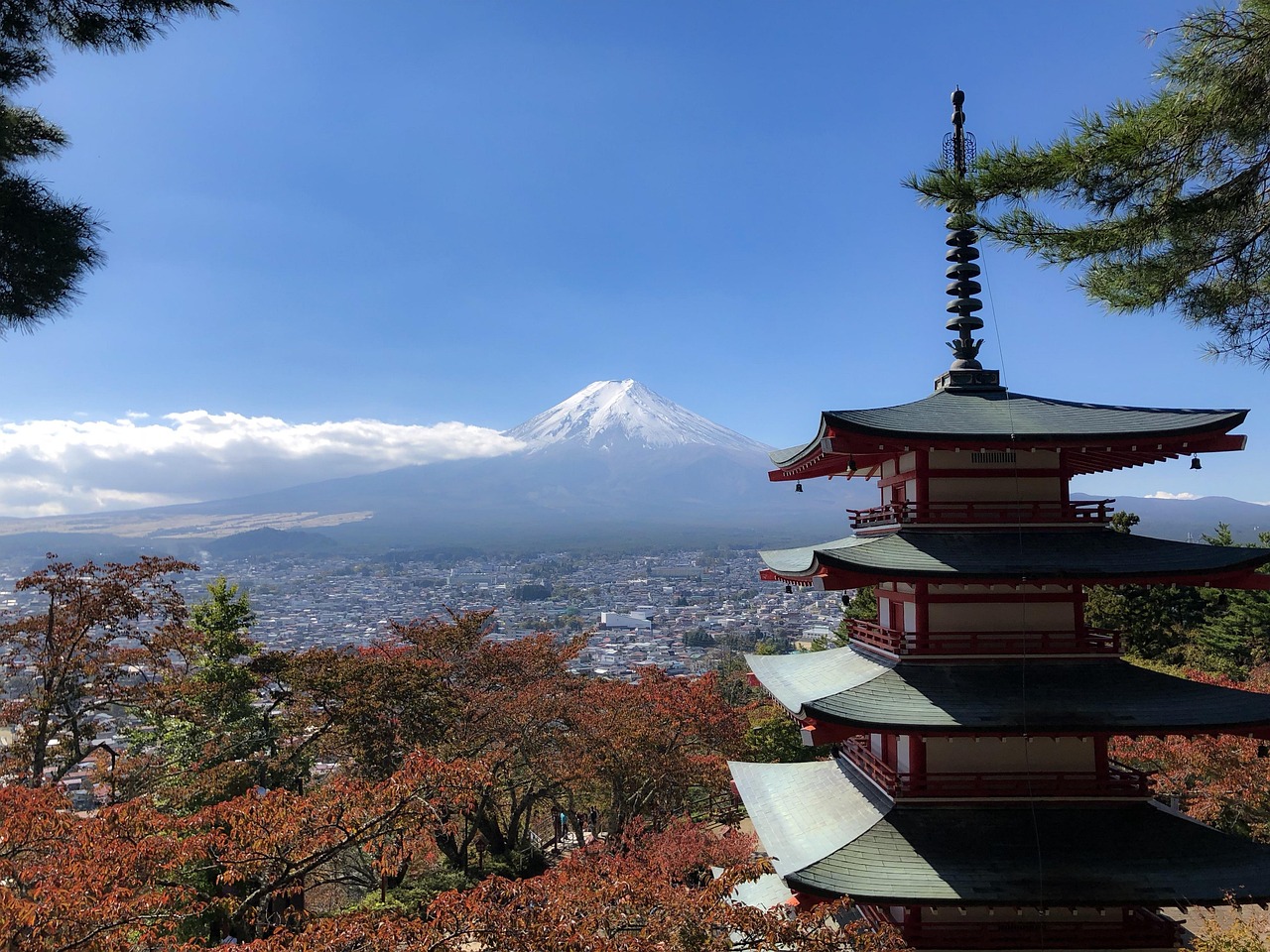日本旅游必去景点排行榜2025特别新排名前十名分析